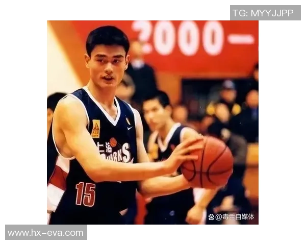 姚明在NBA的影响力与成就分析以及对中国篮球的推动作用
